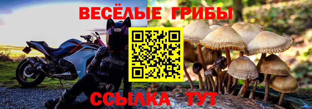 Галлюциногенные грибы Magic Shrooms Малгобек