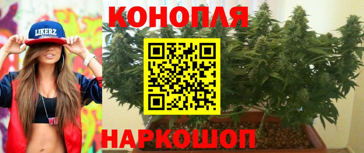 Бошки марихуана White Widow Малгобек